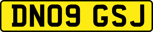DN09GSJ