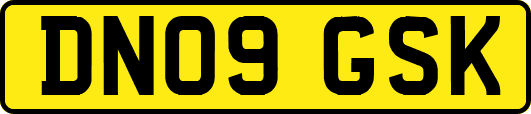 DN09GSK