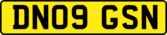 DN09GSN