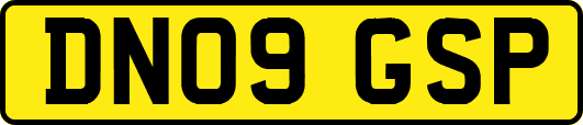 DN09GSP