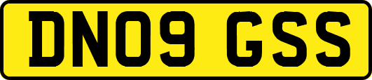 DN09GSS