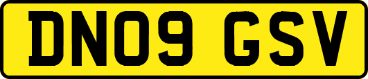 DN09GSV