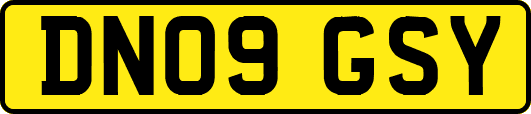 DN09GSY
