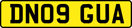 DN09GUA