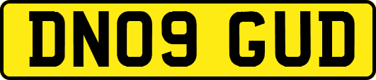 DN09GUD