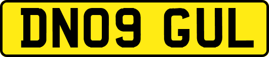 DN09GUL