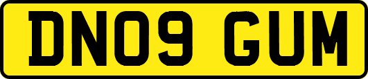 DN09GUM