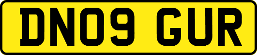 DN09GUR