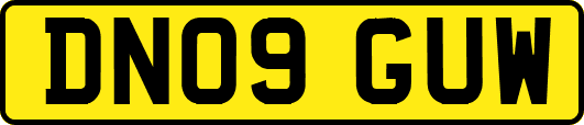 DN09GUW