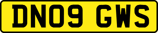 DN09GWS