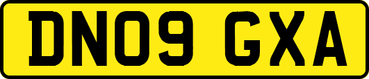 DN09GXA