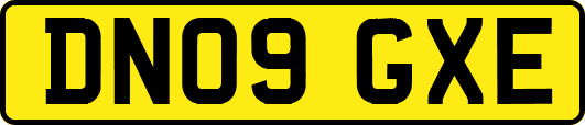 DN09GXE