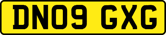 DN09GXG