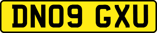 DN09GXU