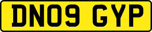 DN09GYP