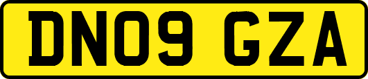 DN09GZA