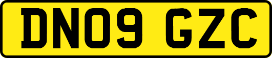 DN09GZC