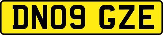 DN09GZE