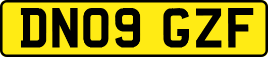 DN09GZF