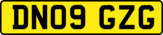 DN09GZG