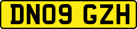 DN09GZH
