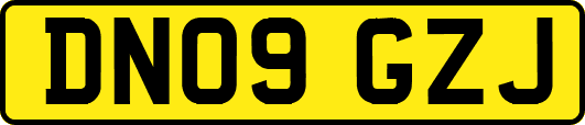 DN09GZJ