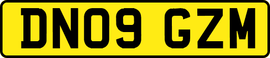 DN09GZM