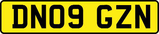 DN09GZN