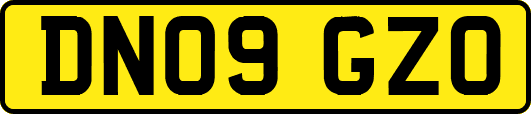 DN09GZO