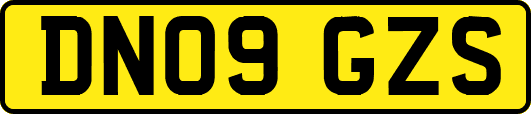 DN09GZS