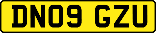 DN09GZU