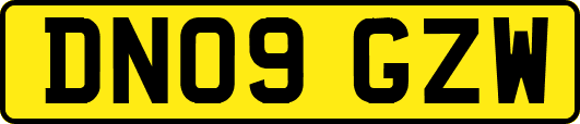 DN09GZW