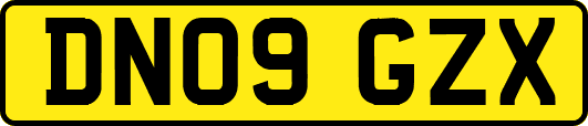 DN09GZX