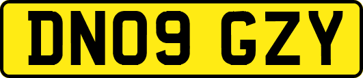 DN09GZY