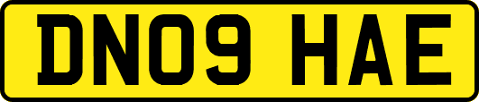 DN09HAE