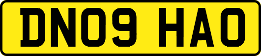 DN09HAO