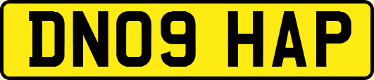 DN09HAP