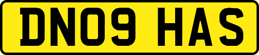 DN09HAS