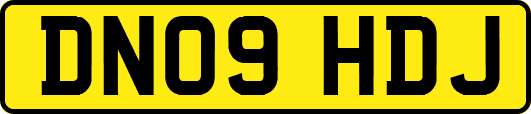 DN09HDJ
