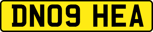 DN09HEA
