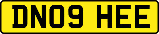 DN09HEE