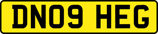 DN09HEG