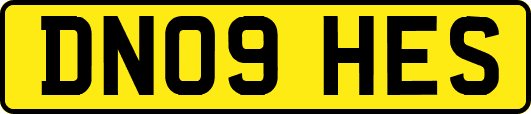 DN09HES