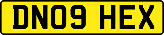 DN09HEX