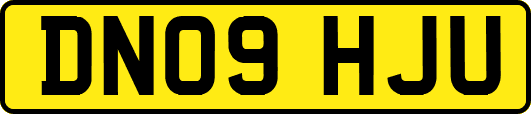 DN09HJU