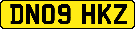 DN09HKZ