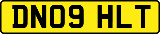DN09HLT