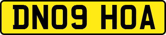 DN09HOA