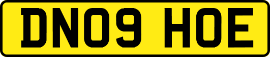 DN09HOE
