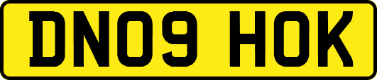DN09HOK